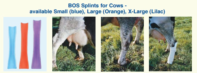 BOS Splints для коров